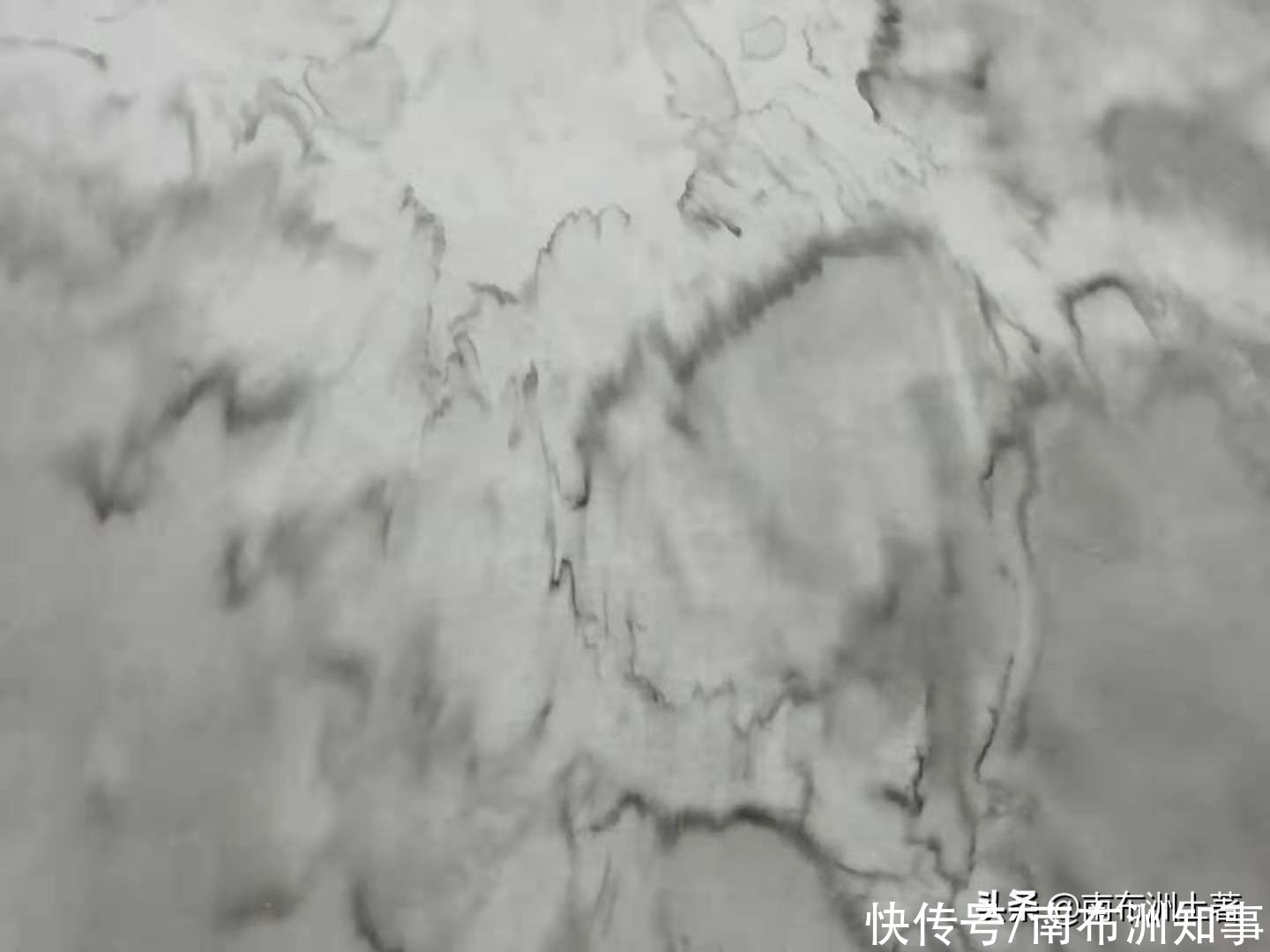 作品|近日泼墨 一醉志强作品