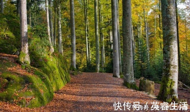 定制|为什么定制家具都用颗粒板而不是生态板看完，才知道错得多离谱！
