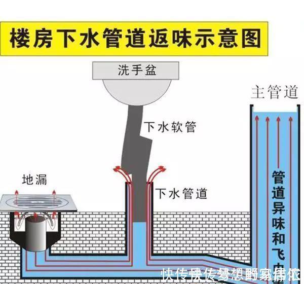 老师傅|卫生间老有一股臭味,直接用老师傅的办法还挺实用,臭味去无踪