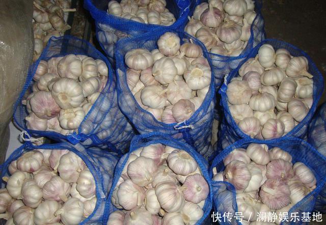 买回来的大蒜老是发芽?菜农教我这招,存放一年都不会发芽了!