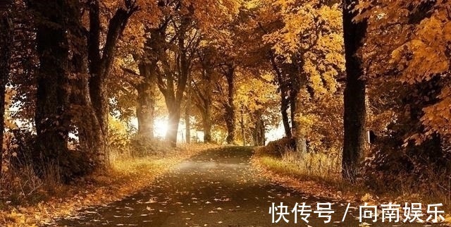 星座|叛逆心十足,最难掌控的三个星座,可面对爱人,往往又容易心软