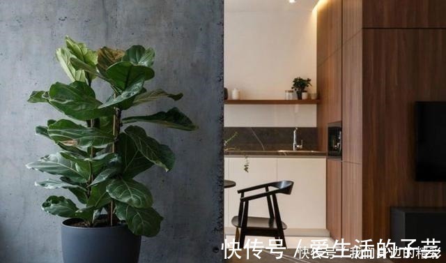 卧室|乌克兰39㎡的小家,一厅一卧一人住太舒服了,忍不住晒晒!