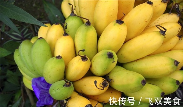 食用盐|想长寿得会吃,3种水果要多吃,补气通便,祛湿健脾,营养又健康