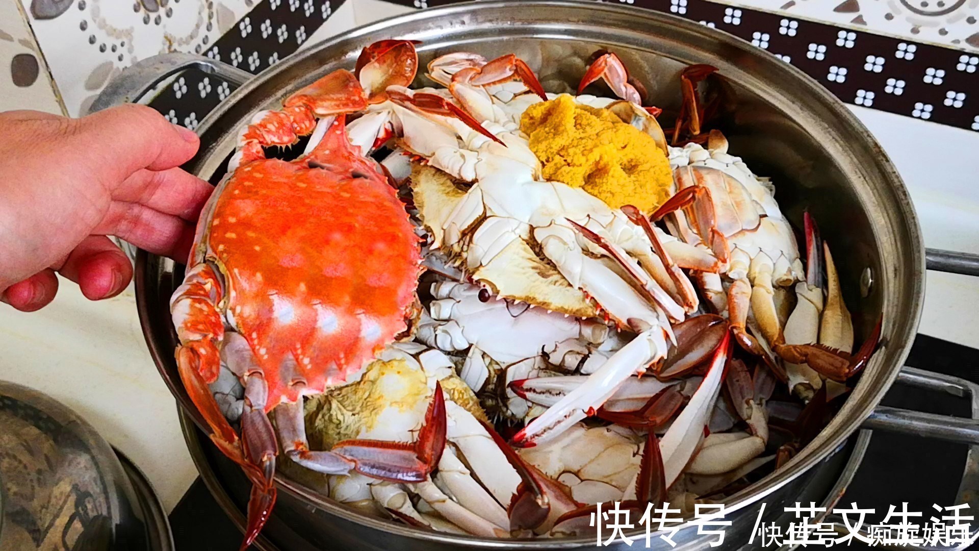 三人行必有我师焉|蒸螃蟹原来有诀窍，教你正确做法，不流黄不掉腿，肉质鲜嫩无腥味