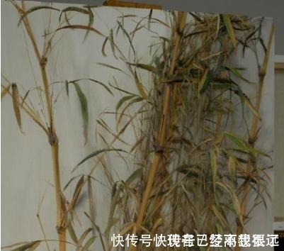 雨香$冷军画油画竹子,画一幅不过瘾连着画四幅,一幅卖了500万!