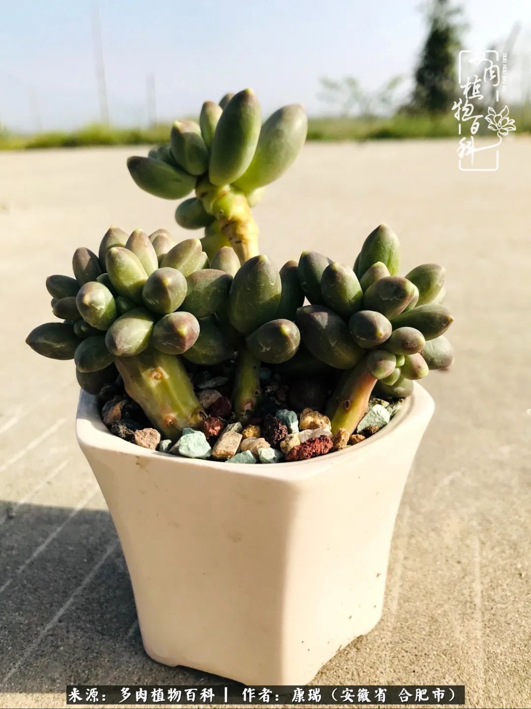 养肉之路，道阻且长，累的是身体，净的是心灵！