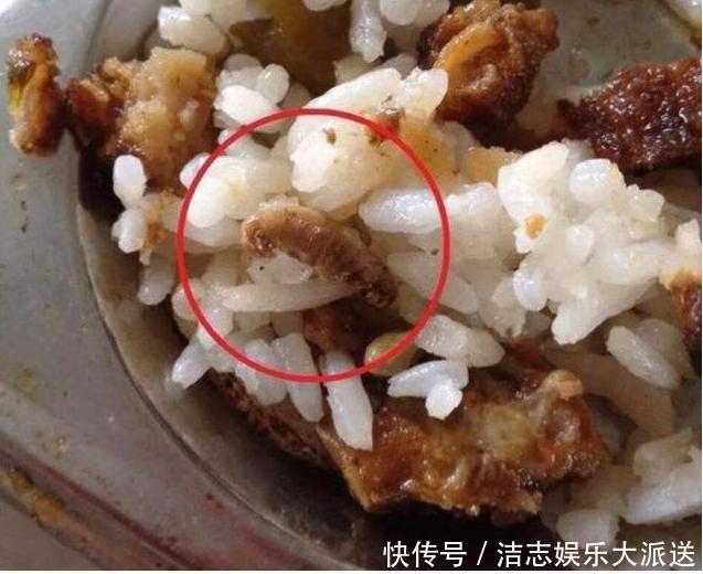 老师发孩子午餐照后秒撤回，眼尖家长一眼发现，幼儿园饭有问题