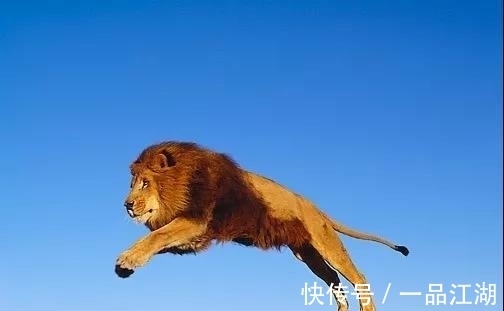 24个冷知识：生物老师看完直呼不可思议，但却真实存在的有趣知识