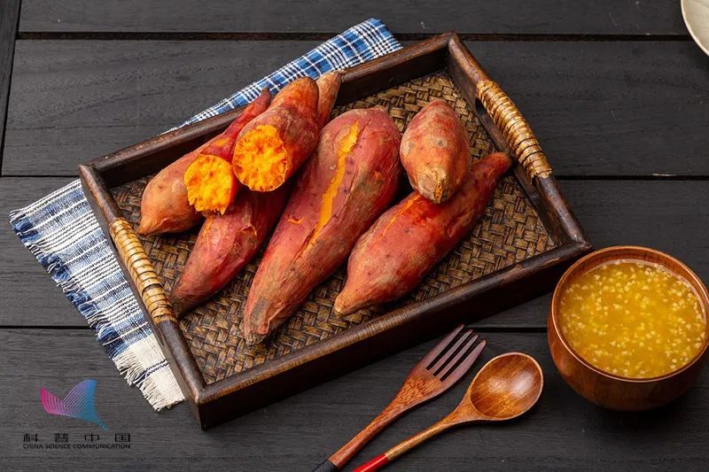 降血糖|吃红薯是长胖还是减肥?是升血糖还是降血糖?与紫薯有啥区别?总算清楚了