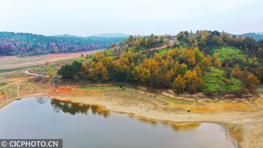 初冬|湖南新田：多彩初冬景色如画