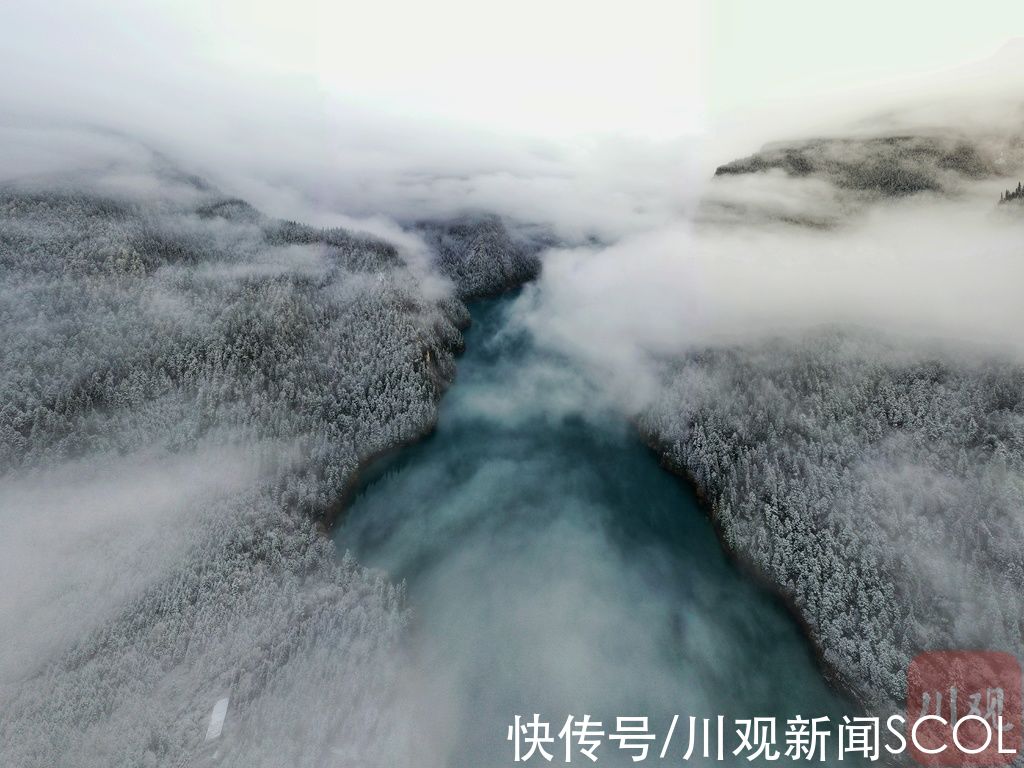 彩林|阿坝多景区开启“雪景模式”，美得像童话世界