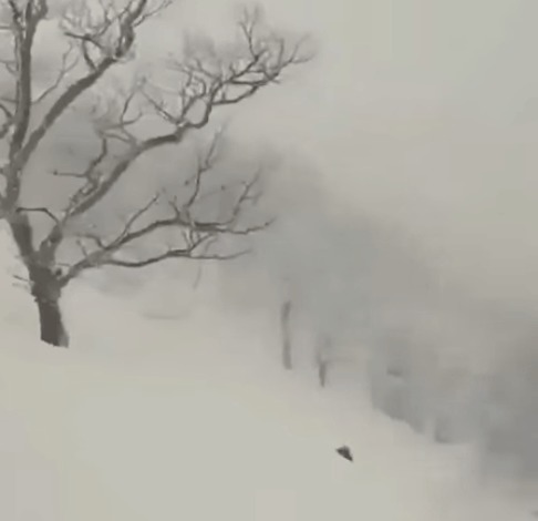 |搞笑GIF：人生难免磕磕碰碰，尤其是过河的时候