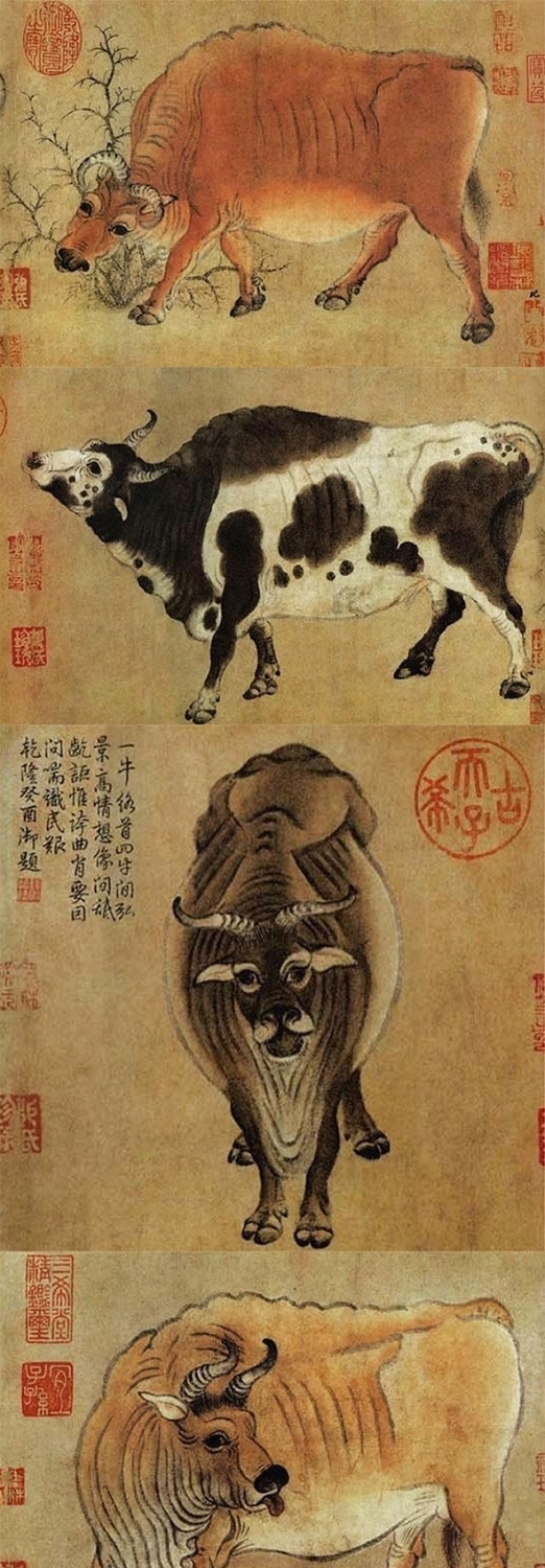 五牛|唐代画家韩滉和《五牛图》