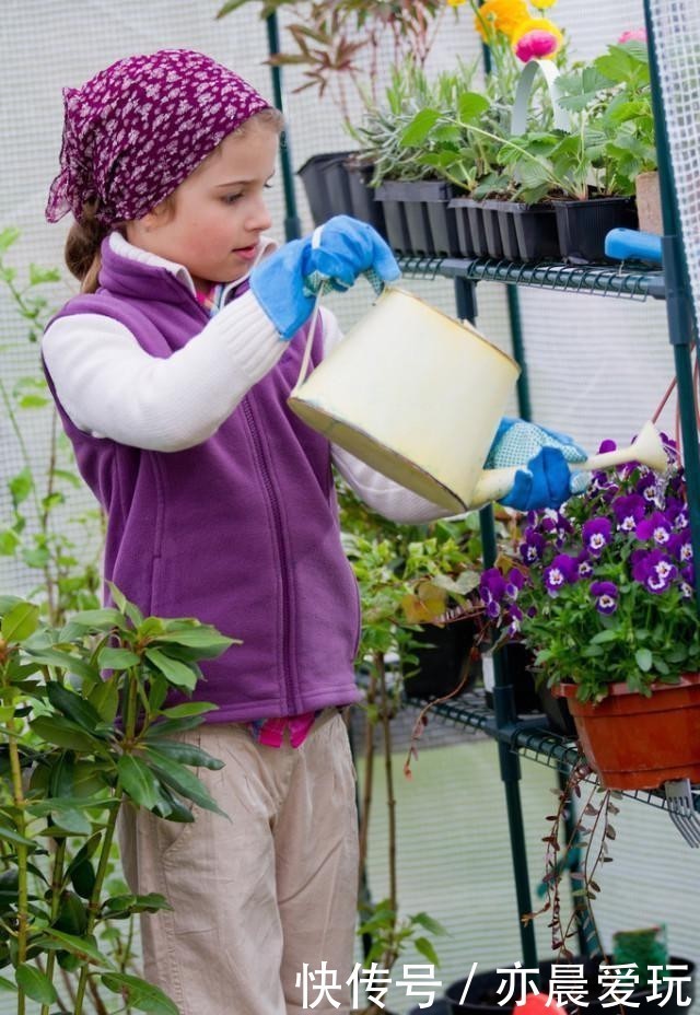 浇花|天冷浇花有4“不”,做好了,根系壮