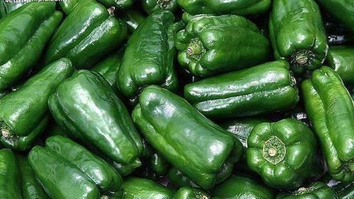 维生素b|女性过了40岁推荐常吃3种食物，补血润肤，排毒消脂，好处多多