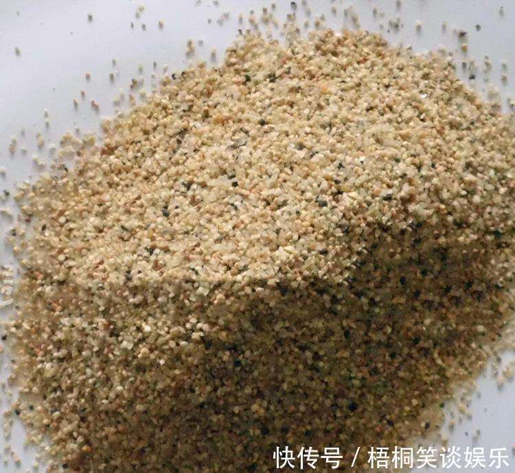 商家|为什么卖花的大棚里花土都干得不行了,花叶还是绿油油的呢?