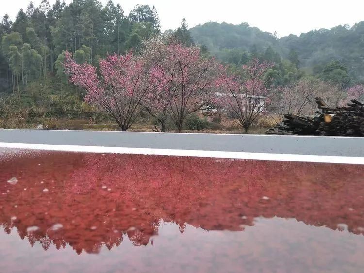 中年|泰宁又出了一个网红打卡点！你还不来看看吗？