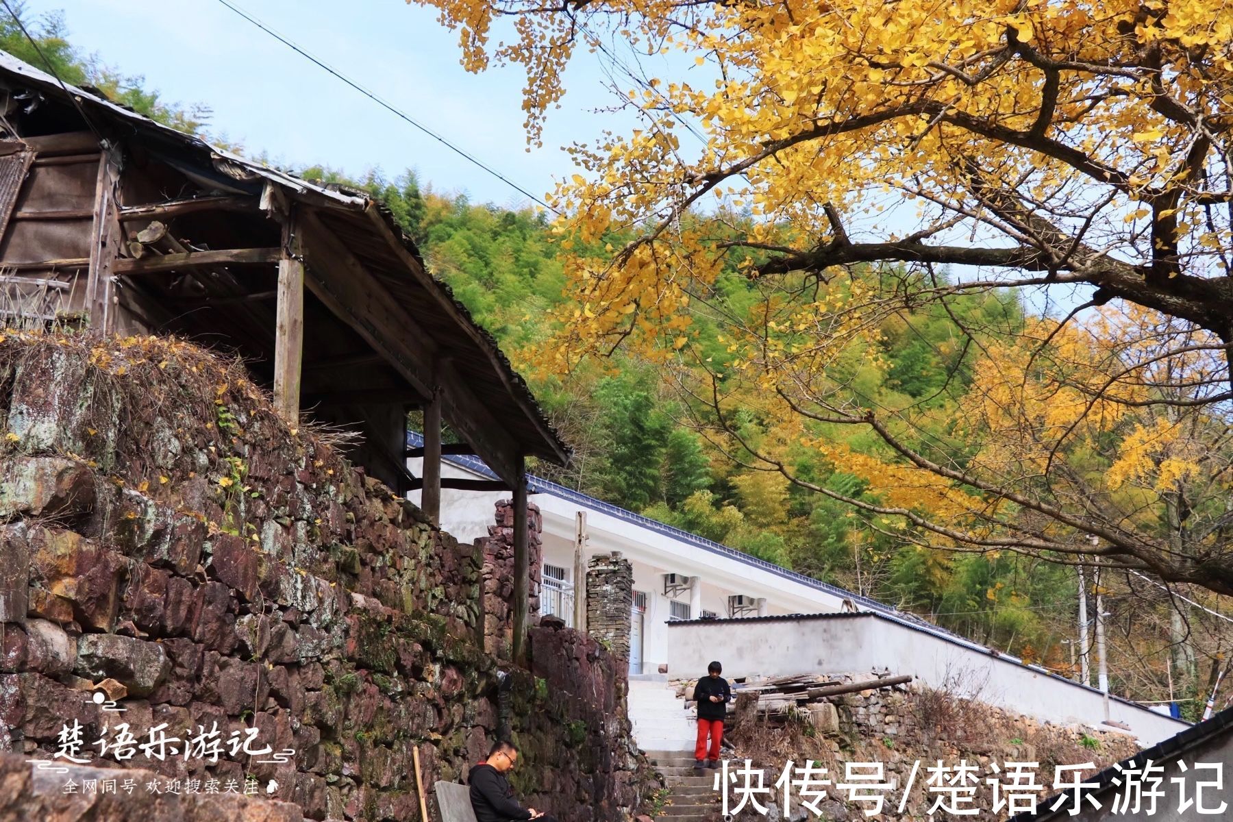 千年古村落|太震撼！四明山深处被人遗忘的千年古村落，满村银杏金黄美如童话