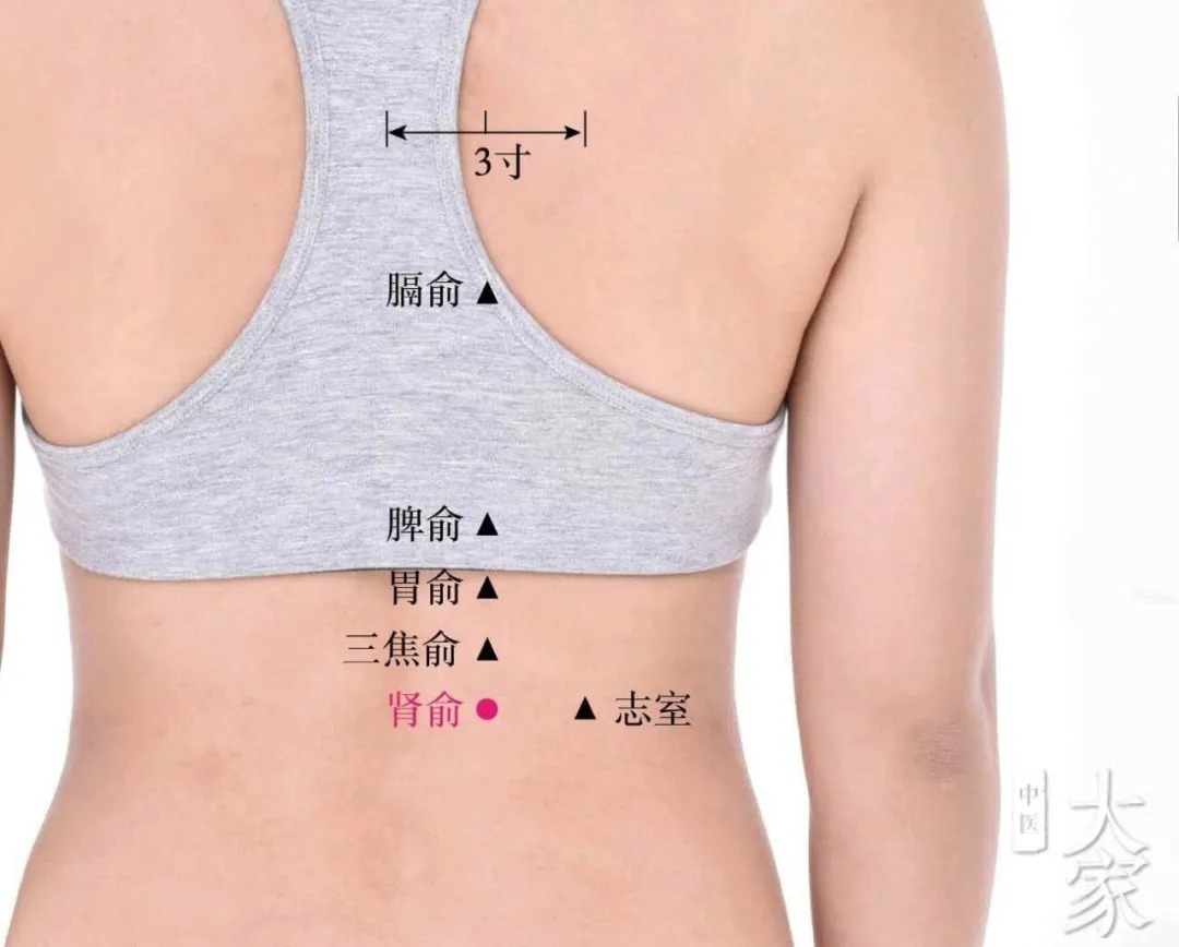 养腰|秋冬总是腰痛?睡前一个动作最养腰,一起来学习吧!