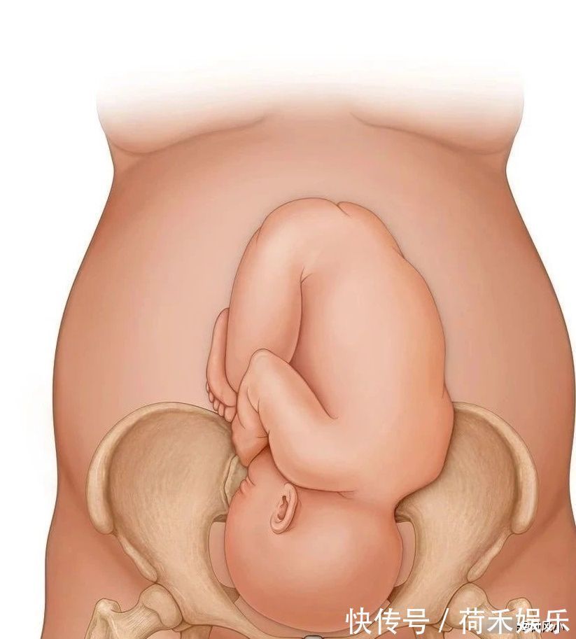胎位|临产前胎宝宝为什么会自己头朝下入盆?这是宝宝心疼妈妈的表现
