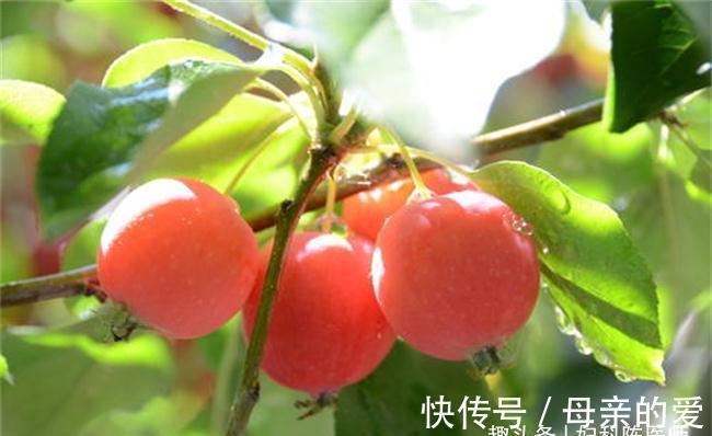 排毒养颜|超市很常见的3种食物,值得每天吃一些,排毒养颜,滋润肌肤!