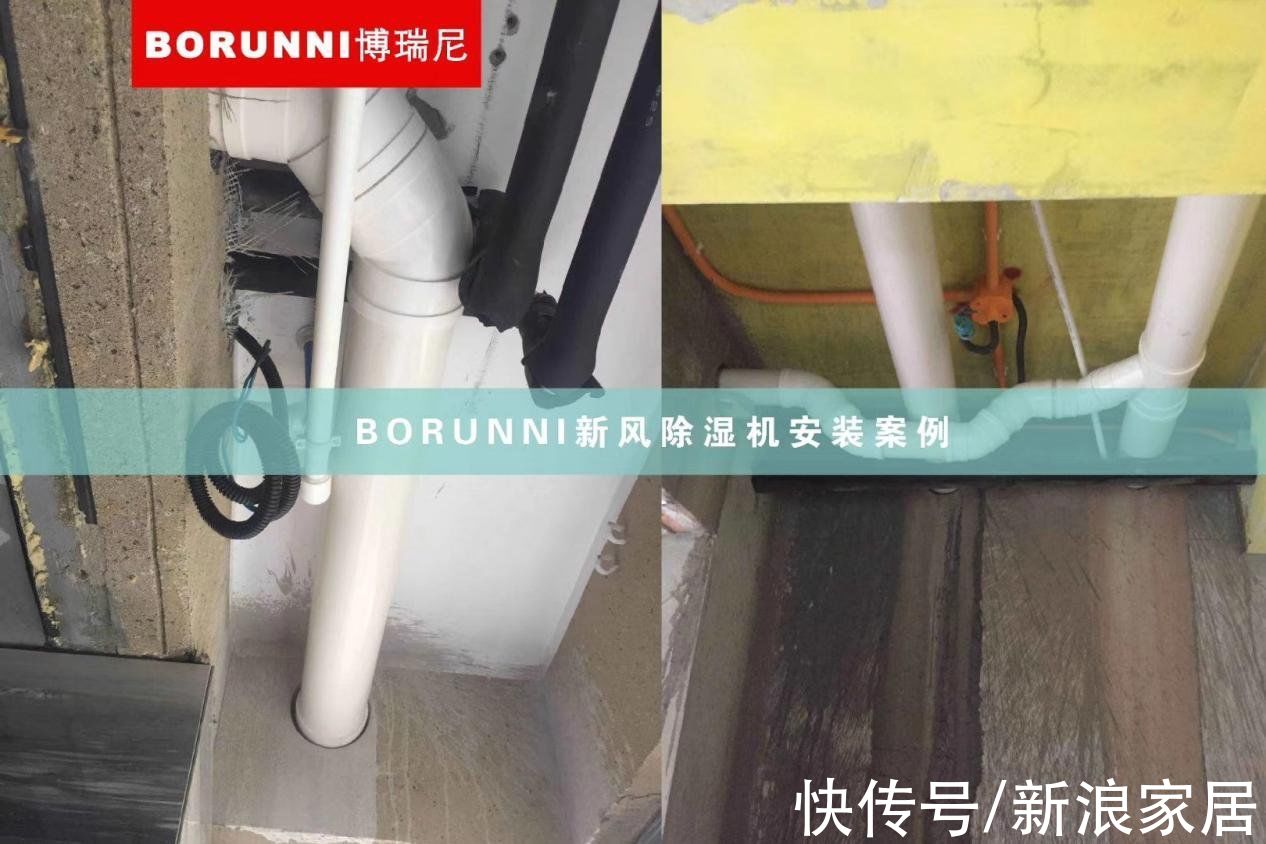 博瑞尼|地下室潮湿发霉，有必要装新风除湿机吗？