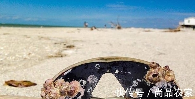 红宝石 有人在海边捡到钻石,更有人在海边捡到红宝石戒指