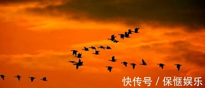 红笺#红叶黄花秋意晚,女主人公因悲秋而怀远,书信难寄玉泪滴落红笺淡