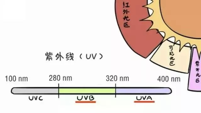 五一出游，这些防晒知识get起来！
