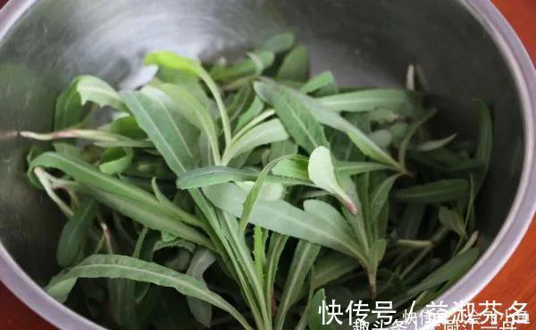 美味|它是地里生长的“天然青霉素”，隔三差五吃一次，营养美味又解馋