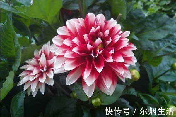 金律!出人头地的4条金律,悟懂其中一条,人生必将福来财到!