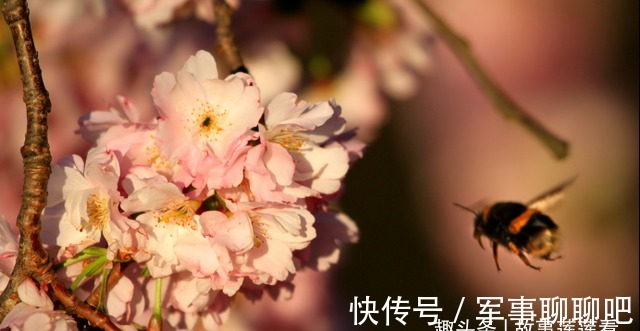 新欢|6天后,往事如烟,随风飘散,不念曾将,昂首向前,此生各奔天涯