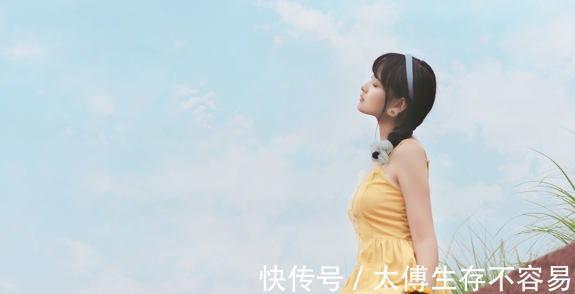 佳句|菊花·七绝与七律:几番辗转寻佳句,金甲满城书丽章