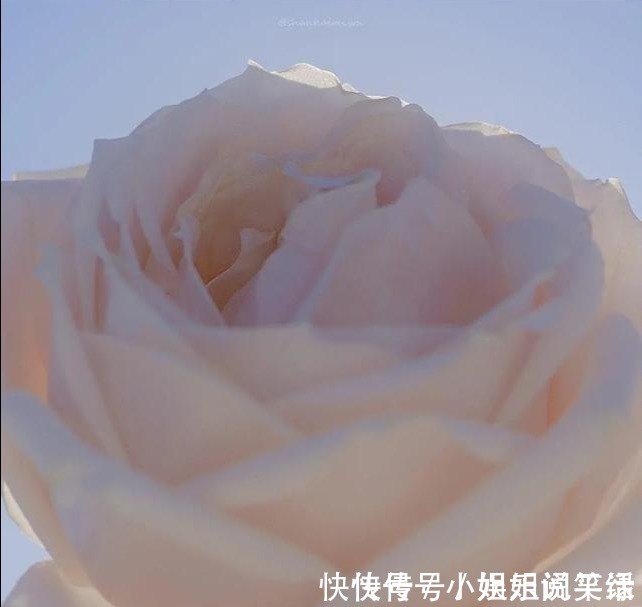 |12个让你心情变好的幽默小短句,治愈你的不开心!