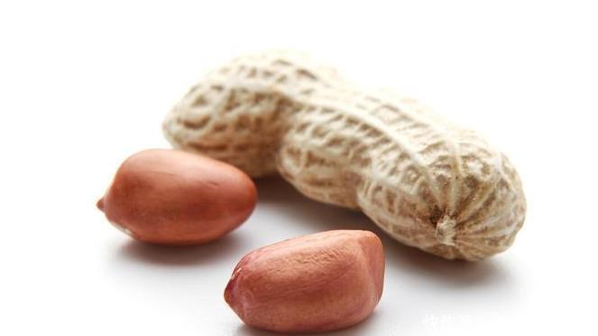 君子兰喜欢2种“零食”1种水，定期给一点，叶片油绿开花艳