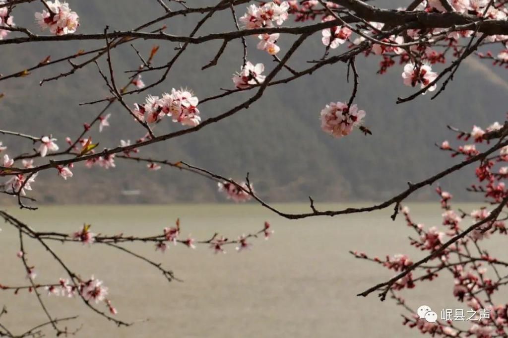 岷县的春夏秋冬，看不够！