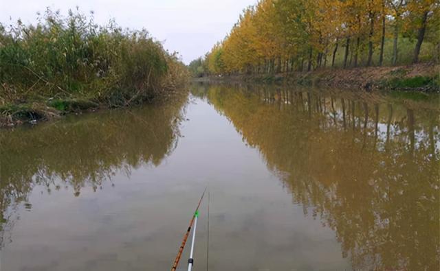 冬钓鲫鱼，提升上鱼率的5个方法，鱼口轻不用怕，方法总比困难多