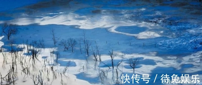 富贵花|纳兰性德最凄美的一首词,不是人间富贵花,更是感动了无数读者!