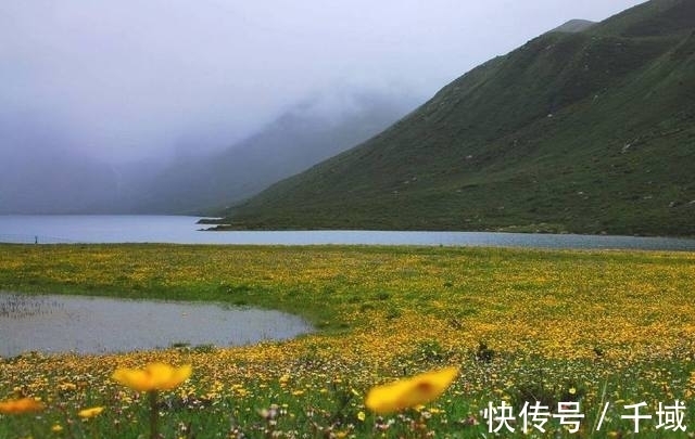 湖泊|世界最“奇特”的湖，在中国鸟语花香堪称奇迹，到印度却截然不同