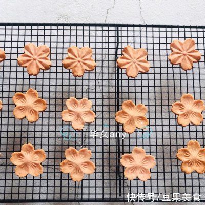 面团|缤纷下午茶/樱花椰子味曲奇饼干