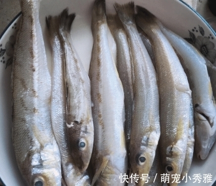 买鱼的时候,碰到这几种鱼赶快买,个头虽小,却营养十足!