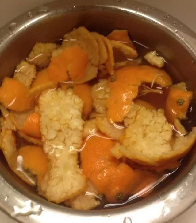 土壤|花盆里长出“白碱”不是好事,对花草危害大,学会这5个处理方法