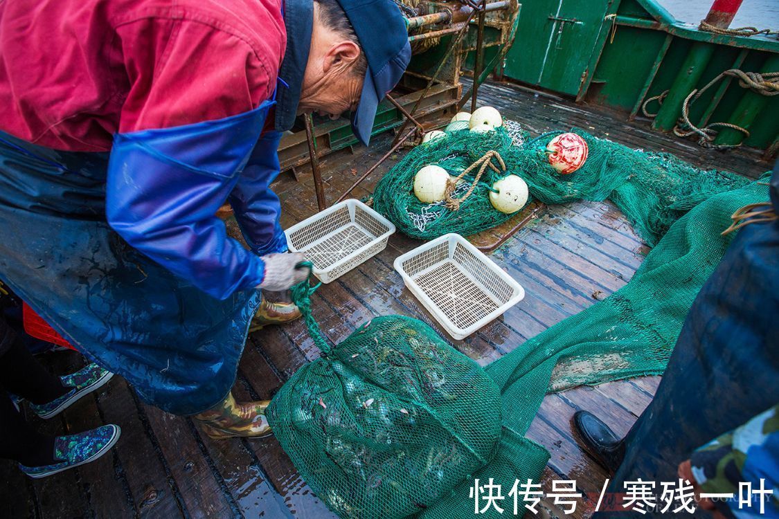 象山|二十人4500元包船出海捕鱼，捕获的海鲜吃完一餐，每人还分到一箱