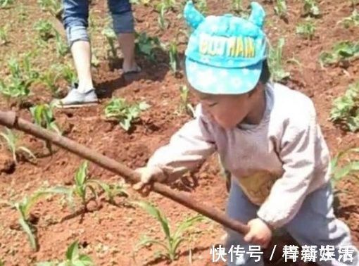 爷爷|3岁儿子去农村爷爷家,居然学会了除草,爸爸乐得哈哈大笑