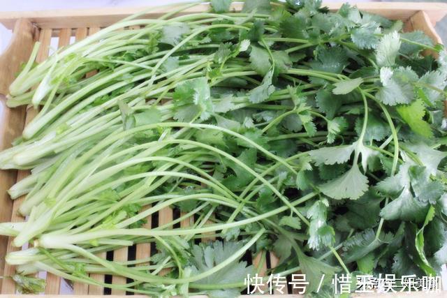 烘干机|原来保存香菜这么简单,老农教您2个土方法,放久不坏,不怕多买