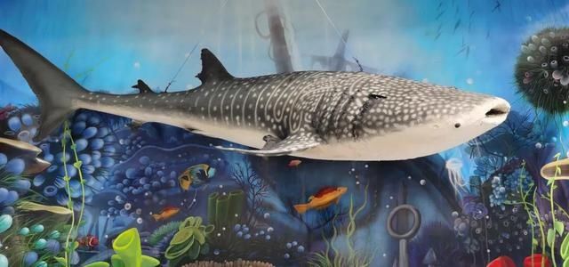 又一打卡地!快来长春农博园赏美景、购好物