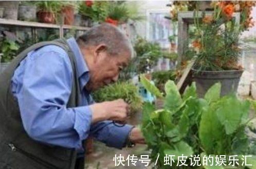 爷爷养花从不花钱,只用这3种垃圾,盆里撒一层,养啥都爆