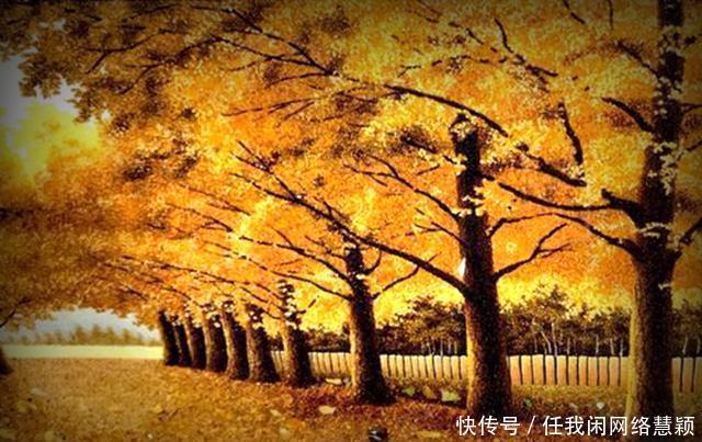 晓东|和晓东社长七律7首,催人节序太匆匆,一夜萧萧万树空