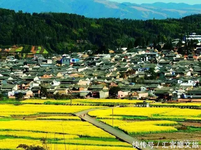 赏花|罗平赏花攻略，万亩油菜花开成海