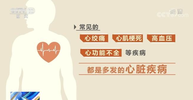 患者|我国心血管病患者超3亿 4方面着手可有效保护心脏